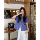 Cross-Border Blue Plaid Short-Sleeved Shirt Autumn Women's Clothing Autumn High-End Shirt Tops Plus Size Women's Tops