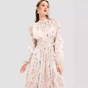 Europe and the United States cross-border new autumn and winter fashion chiffon printed ruffled temperament long sleeve evening dress dress dress